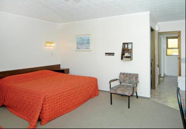 Ace High Motor Inn Napier Ngoại thất bức ảnh